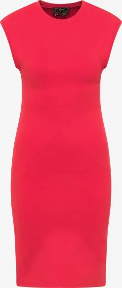 Faina Jerseyjurken Jurk Dames Rood