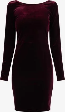 Faina Cocktailjurken Cocktailjurk Dames Kersrood